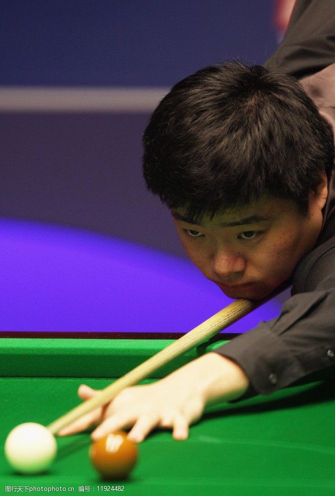 向的引領者 向的引領者